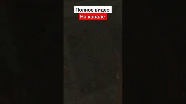 Путешествие Саши Белого (полностью можно посмотреть на этом канале) #anomaly #stalker смотреть онлайн