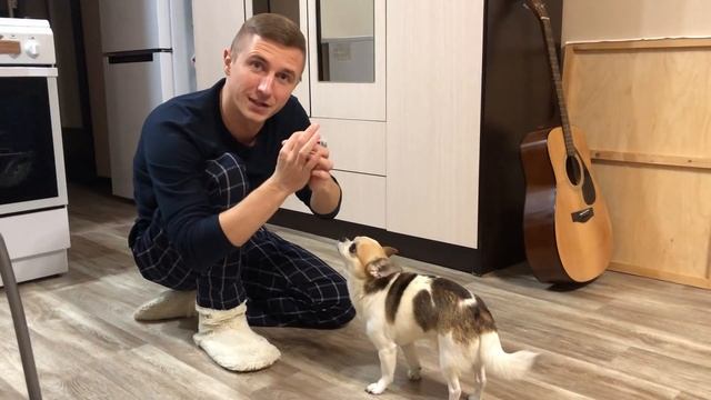 Команда "Нолик" - самое начало. Фунтик не умеет ее выполнять смотреть онлайн