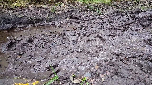 High Rubber boots stuck in deep mud (part 2) 😍| ASMR 📸 смотреть онлайн