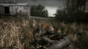 S.T.A.L.K.E.R. - Чистое небо (клип на песню)