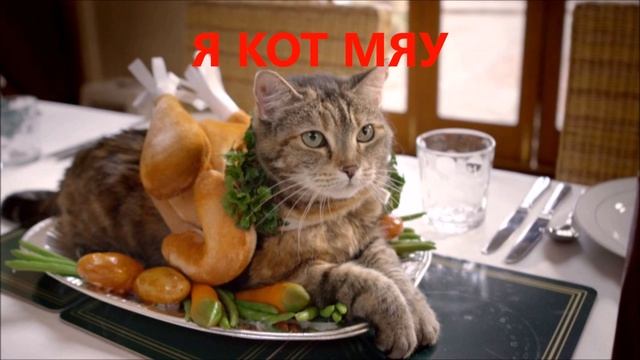 я кот мяу смотреть онлайн
