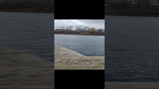 осень в подмосковье смотреть онлайн