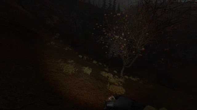 S T A L K E R Call of Pripyat 2022 dsh mod НЗ смотреть онлайн