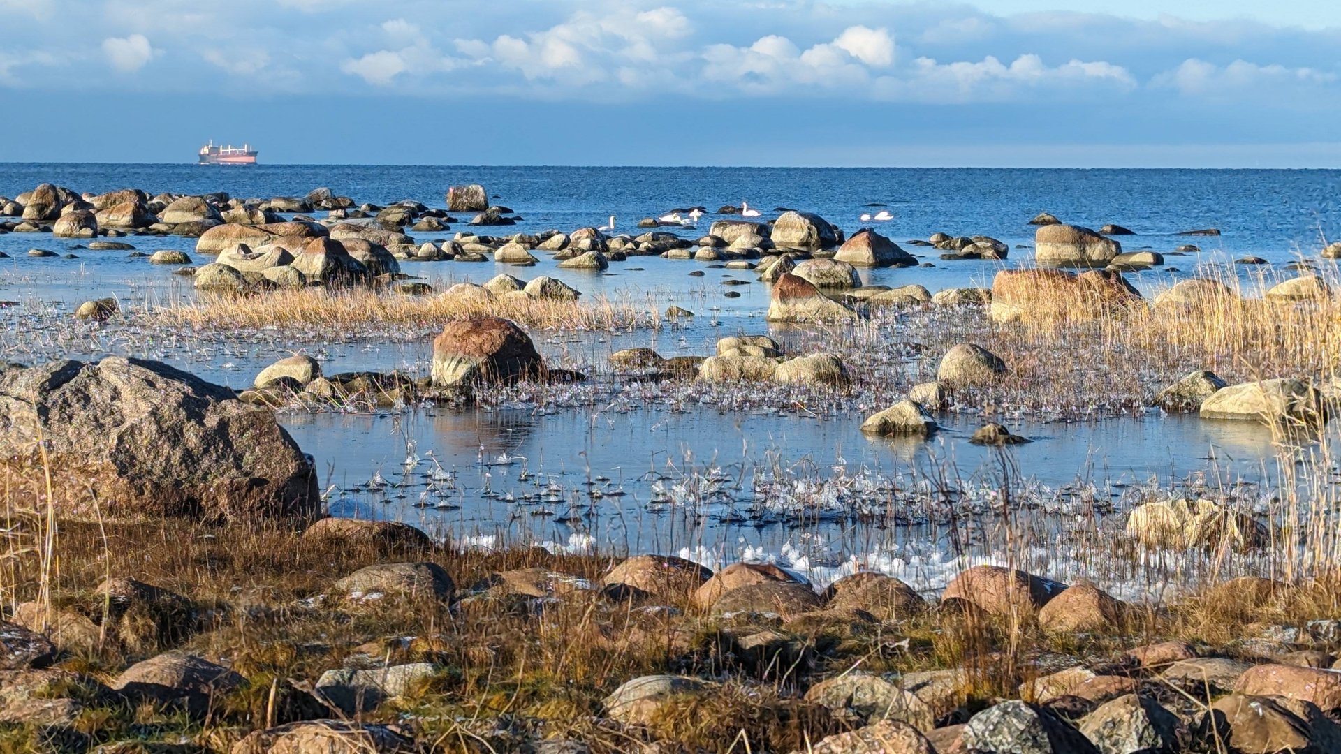 Белые лебеди. Серая Лошадь смотреть онлайн