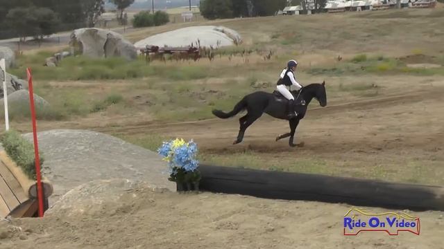 144XC Lisa Sabo on Matakee Open Novice Cross Country Copper Meadows June 2016