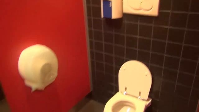 Шинный Toilette WC   Freccia Rossa  Brescia Italy