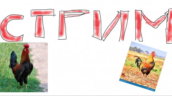 стримик с azimuth