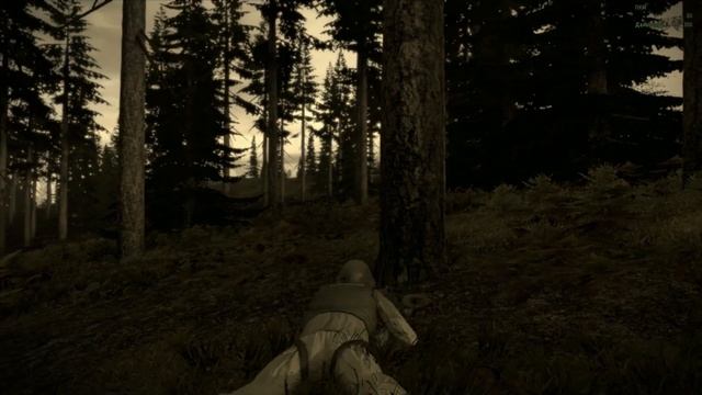 Arma 2 Миссия EW