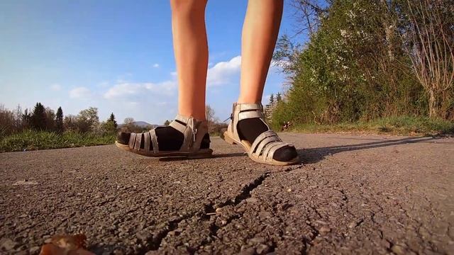 Прогулка Fischgang смотреть онлайн
