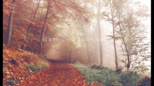 О, странник ищущий блаженства