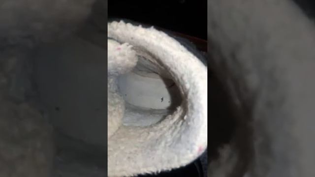 MEINDL TURRACH GTX 41-42 27cm смотреть онлайн