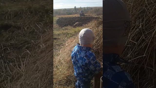 трактор мтз 1282 пашет огород