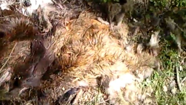 Видео0026 смотреть онлайн
