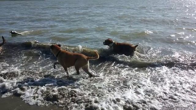 Boots revisited-Berkeley to KC смотреть онлайн