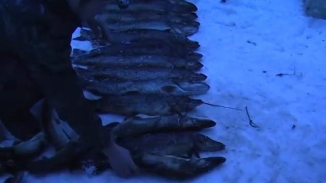 Видеокассета 2012 11 21 22 33 10 смотреть онлайн