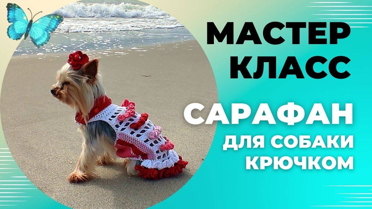 Вяжем платье (сарафан) для собаки крючком: Мастер-класс смотреть онлайн