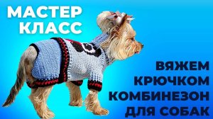 Вяжем штаны к комбинезону для собак крючком, Подробный мастер-класс