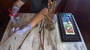 Как размножить виноград / Мой опыт