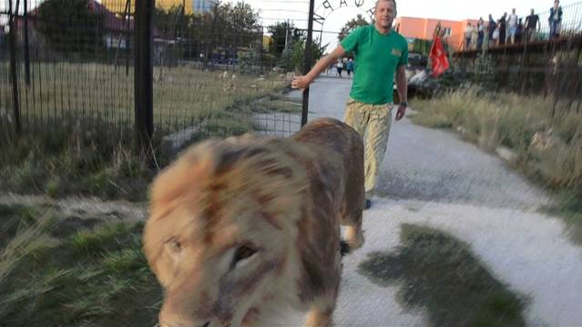 Олежка идет знакомиться .Шикарный закат над Тайганом ! смотреть онлайн