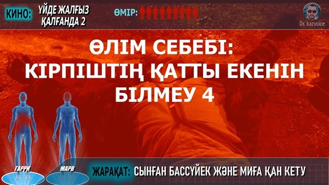 ОДИН ДОМА 1,2 / Барлық жарақаттар / Түгендейміз / Қазақша смотреть онлайн