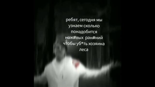 Сборник с Хозяином леса( тик ток мем) #tinybunnygame #зайчик #зайчикновелла #новелла #tinybunnyигра