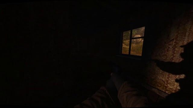 Stalker Anomaly with custom ReShade смотреть онлайн