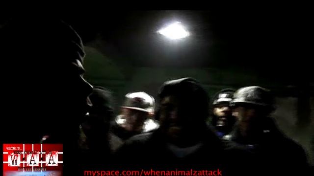 PREDATOR OR PREY:AMAIZIN D BOY VS SKITZO PT.1 смотреть онлайн