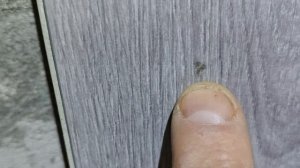 Вся правда о MSPC плитке