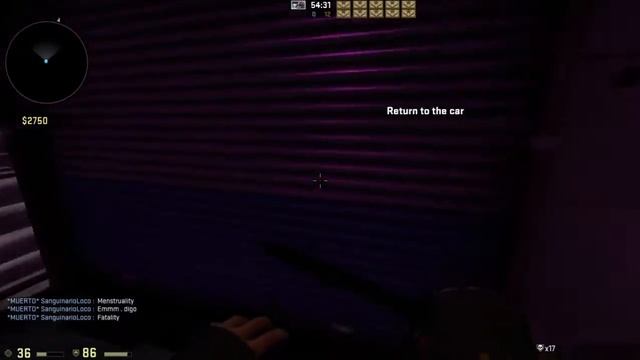 CSGO Hotline Miami: Boludiando y Manqueando con SanguinarioLoco смотреть онлайн