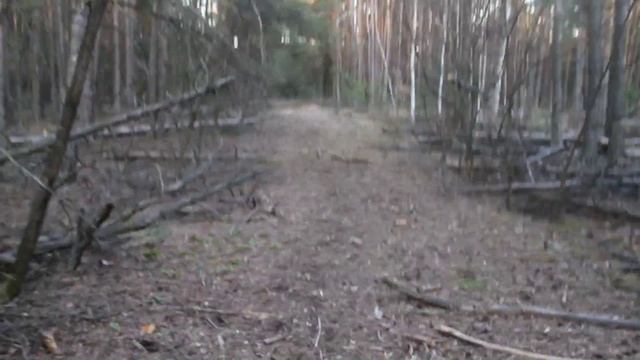 I Snuck Into the Chernobyl Exclusion Zone Illegally - Stalker смотреть онлайн