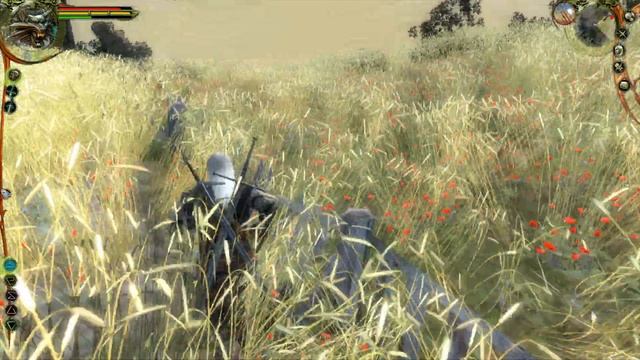 Похождение Геры или прохождение Ведьмака часть 50