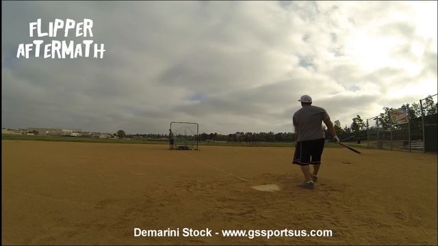 Demarini Flipper Aftermath Slowpitch Softball Bat - Gary (mobile version) смотреть онлайн