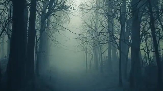 3 TRUE Horrifying Online Dating Horror Stories Vol.1 #horrorstories Ambient Forest смотреть онлайн