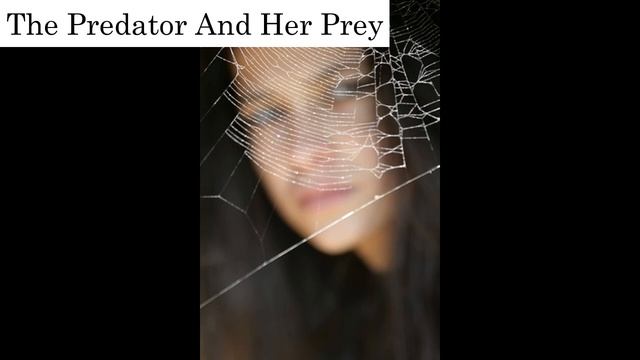 The Predator And Her Prey - Love songs by (The Original Reeves Brothers) смотреть онлайн