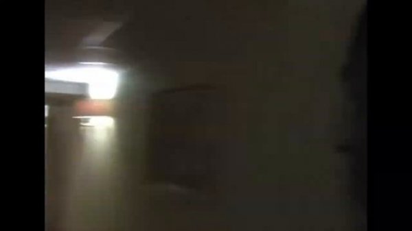 korol' i shut - mariya (slowed)