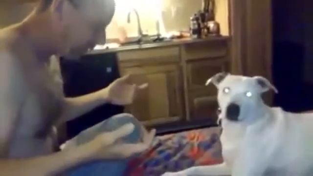 Блоховоз смотреть онлайн