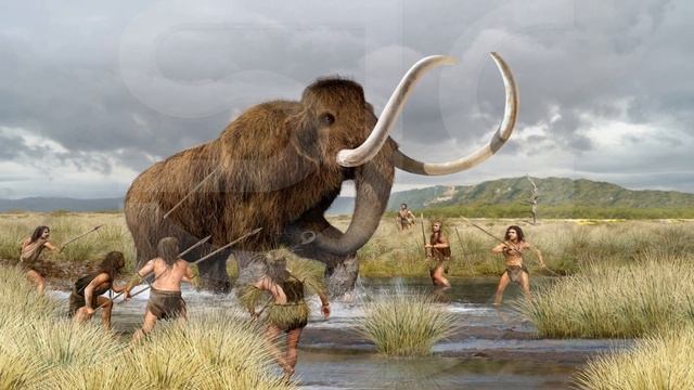 Top Lethal Tools Our Ancestors Used смотреть онлайн