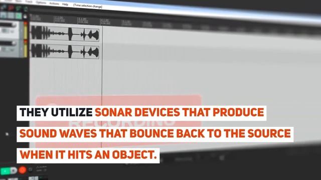 The Importance of Sound Waves смотреть онлайн