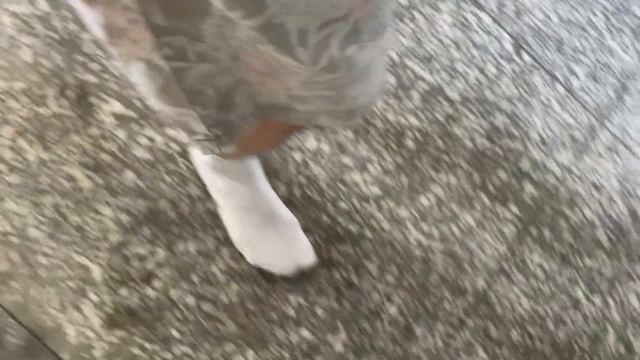dirty socks(part23) смотреть онлайн