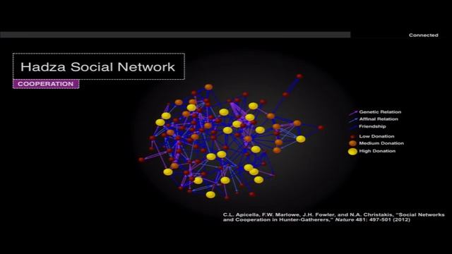 How Social Networks are Like Carbon - Nicholas Christakis - Harvard Thinks Big смотреть онлайн