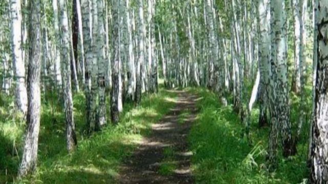 Заплескались частушки смотреть онлайн