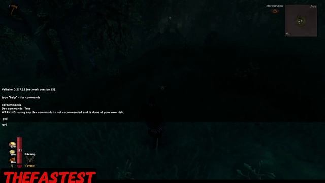 ГАЙД как включить консоль в вальхейм стим версия (Valheim)