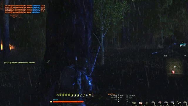 STALKER ONLINE | STORM | Бью палкой кабанов смотреть онлайн