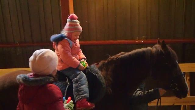 Иппотерапия с дочкой ч.8 смотреть онлайн