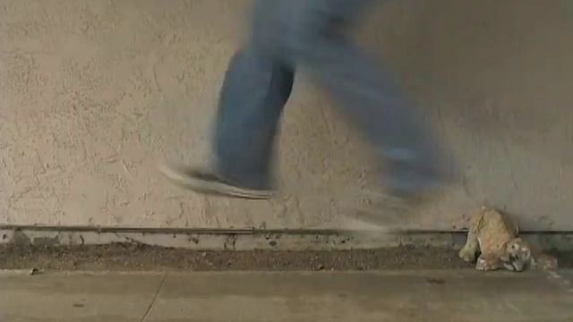 Converse Jump смотреть онлайн
