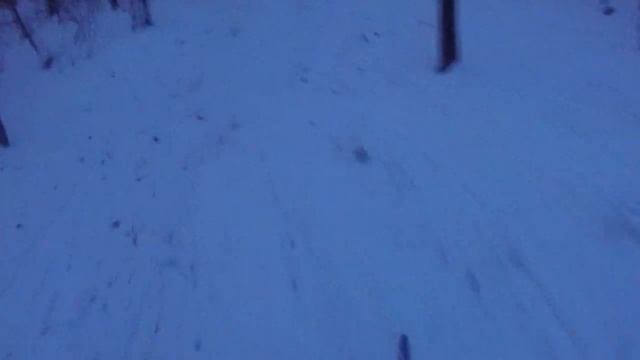 Дорогожичі, Кирилівський Гай - бігові лижі 18.01.2021 смотреть онлайн