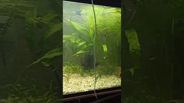 23 ноября 2022 г. смотреть онлайн