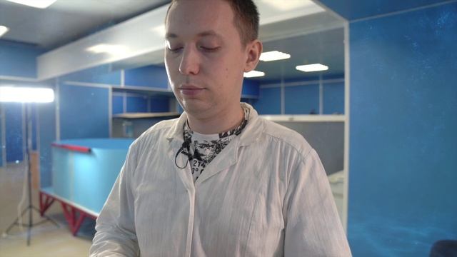 Видео о сервисе Fish Grow - как это работает