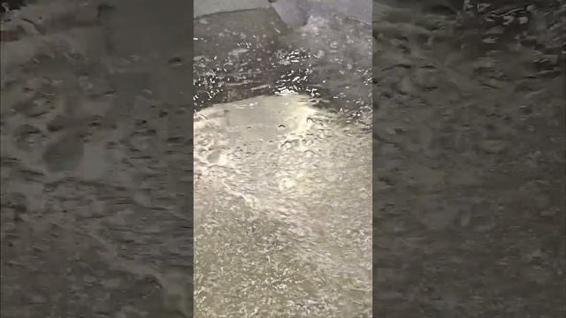 Испытания вертикального диспергатора РПА смотреть онлайн