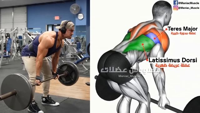 8 Best Exercise To Lower Lats workout (V-TAPER) смотреть онлайн